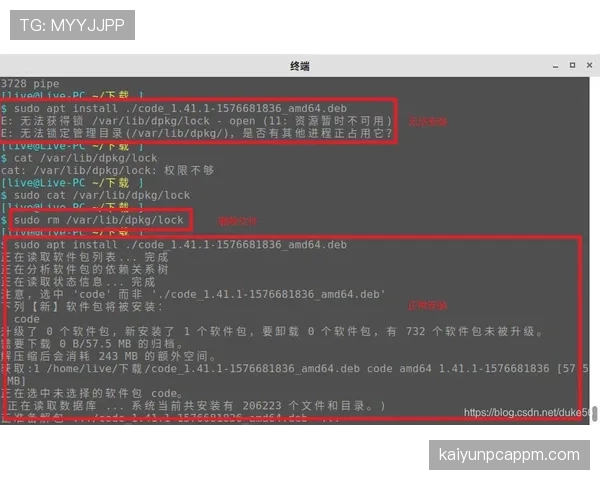 VAR规则：明确可回看情形与裁判最终裁定权
